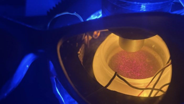 Microscope assembly showing algae sample
